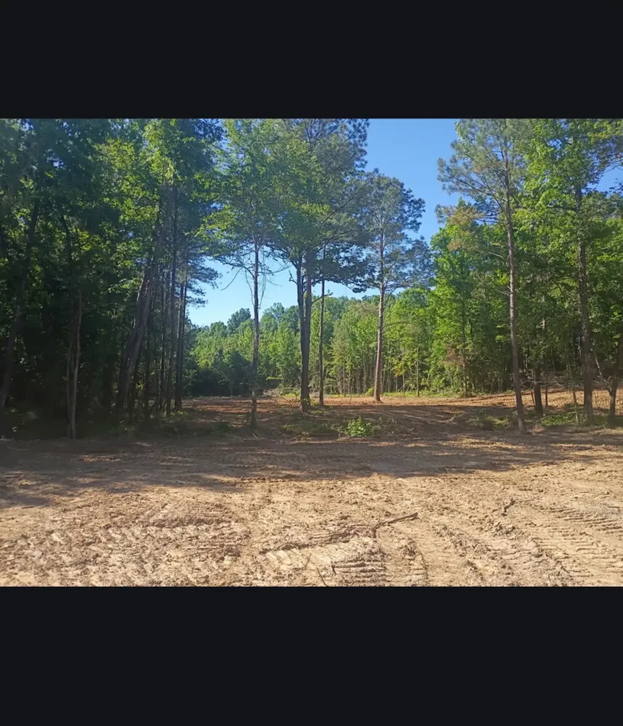 0 County Road 66 Eldridge AL 35554