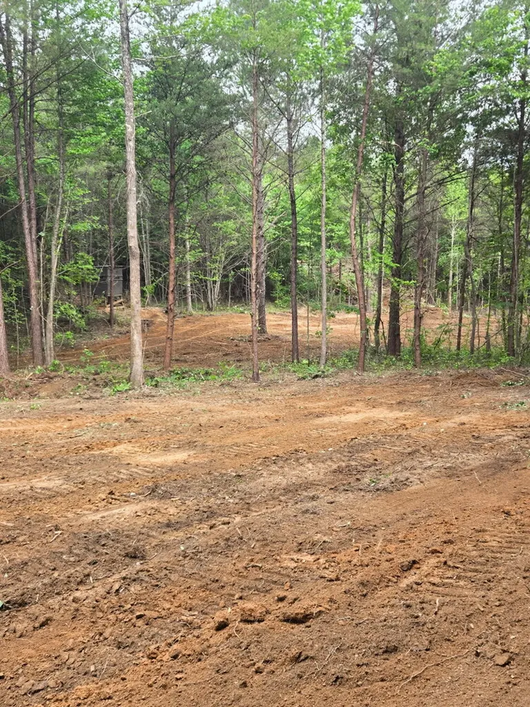0 County Road 66 Eldridge AL 35554