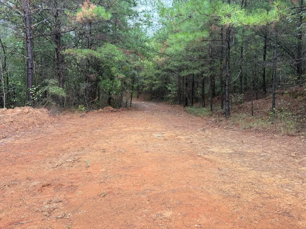 0 County Road 66 Eldridge AL 35554