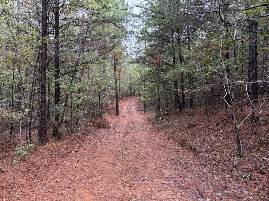 0 County Road 66 Eldridge AL 35554