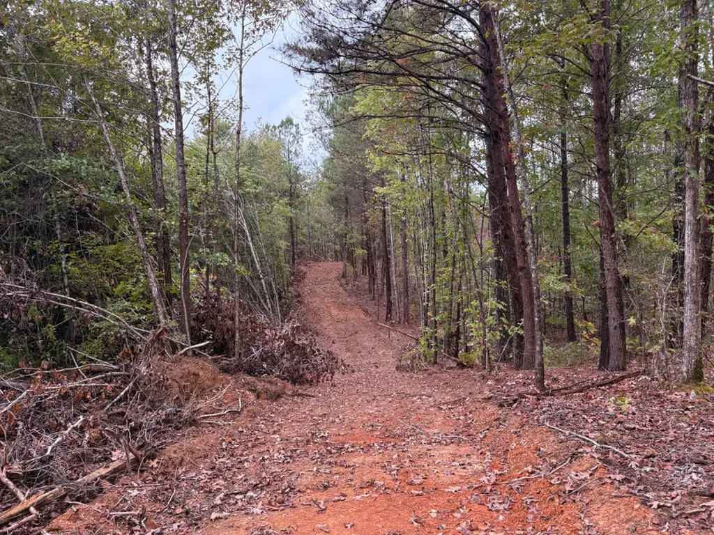 0 County Road 66 Eldridge AL 35554