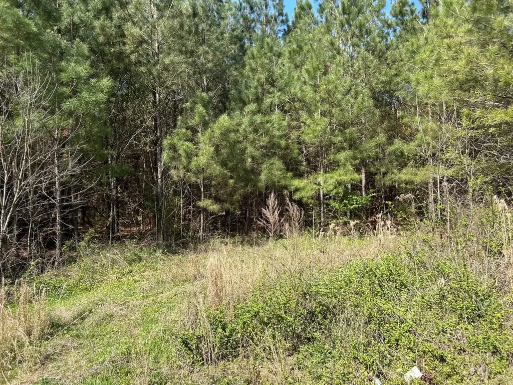 0 Robin Hill Road Oneonta AL 35121