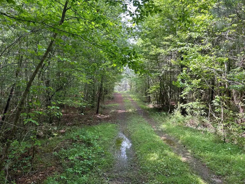 0 Robin Hill Road Oneonta AL 35121