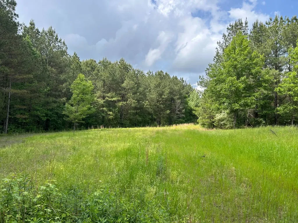 0 Robin Hill Road Oneonta AL 35121
