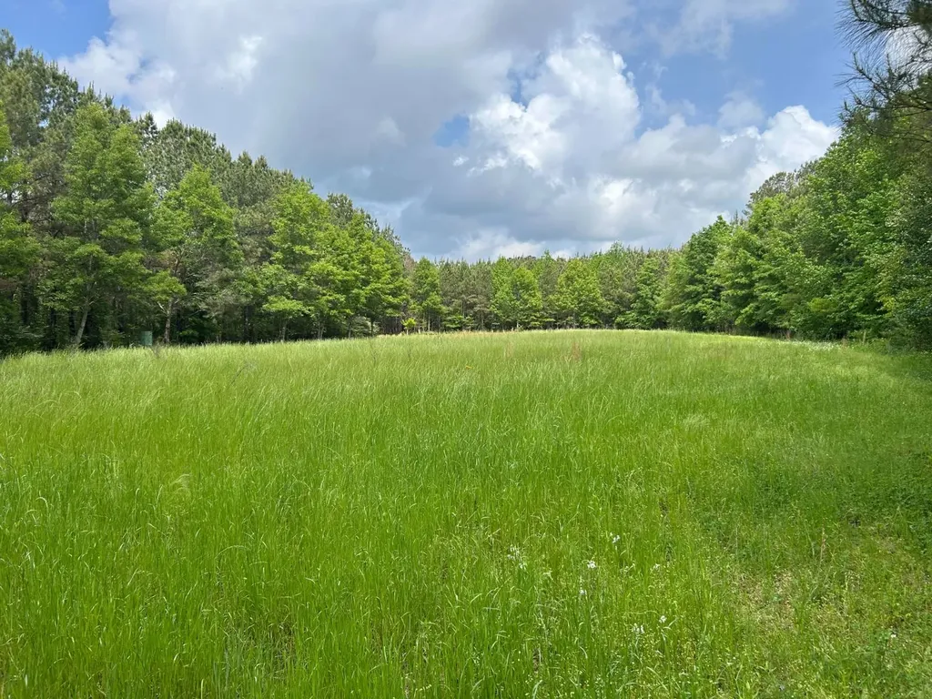 0 Robin Hill Road Oneonta AL 35121