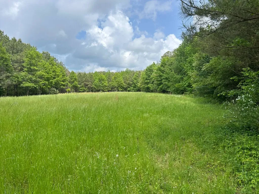 0 Robin Hill Road Oneonta AL 35121