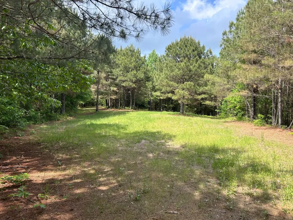 0 Robin Hill Road Oneonta AL 35121