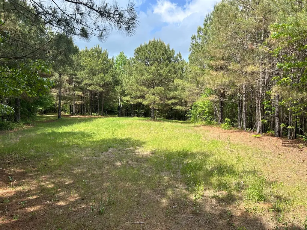 0 Robin Hill Road Oneonta AL 35121