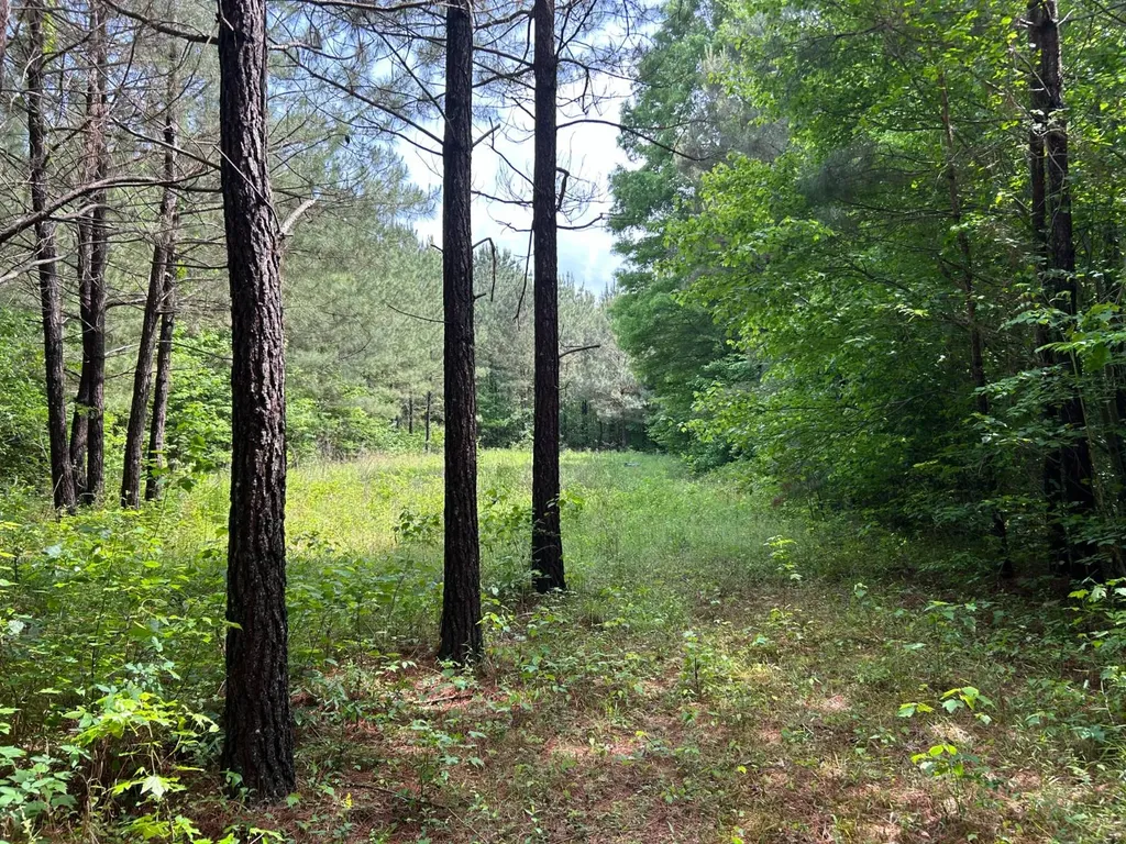 0 Robin Hill Road Oneonta AL 35121