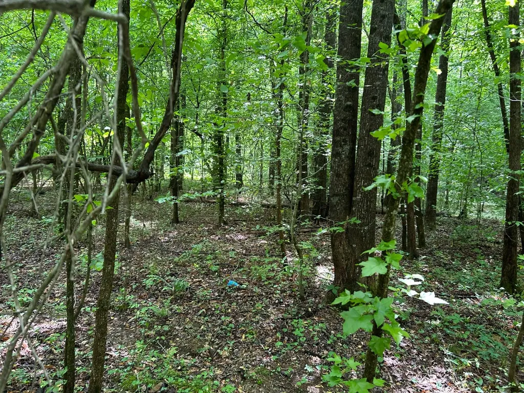 0 Robin Hill Road Oneonta AL 35121