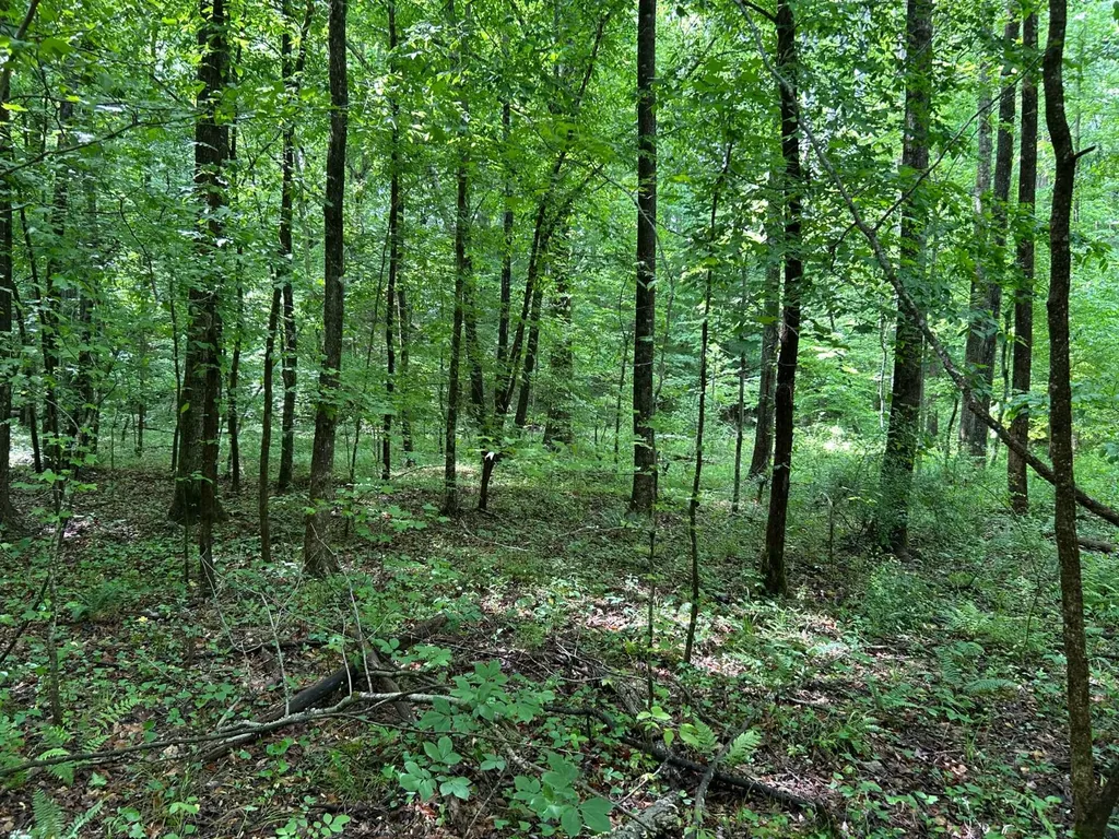 0 Robin Hill Road Oneonta AL 35121
