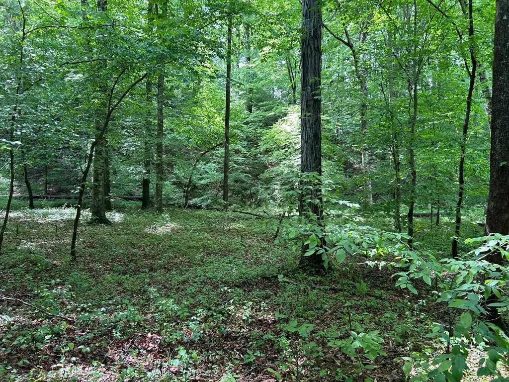 0 Robin Hill Road Oneonta AL 35121