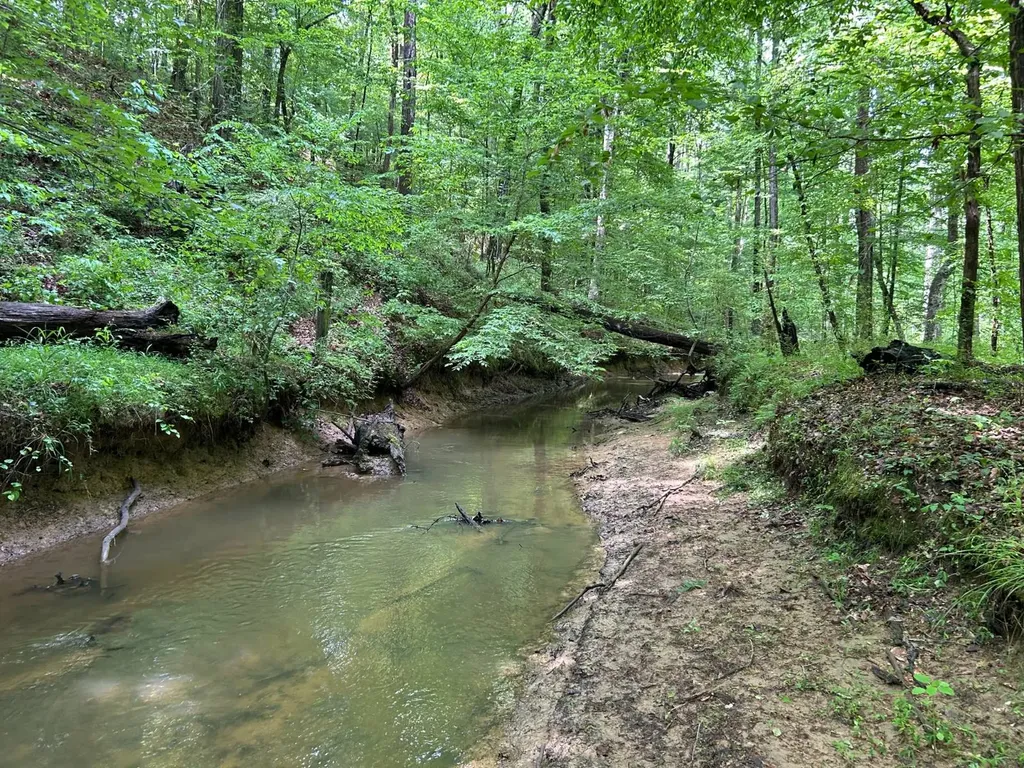 0 Robin Hill Road Oneonta AL 35121