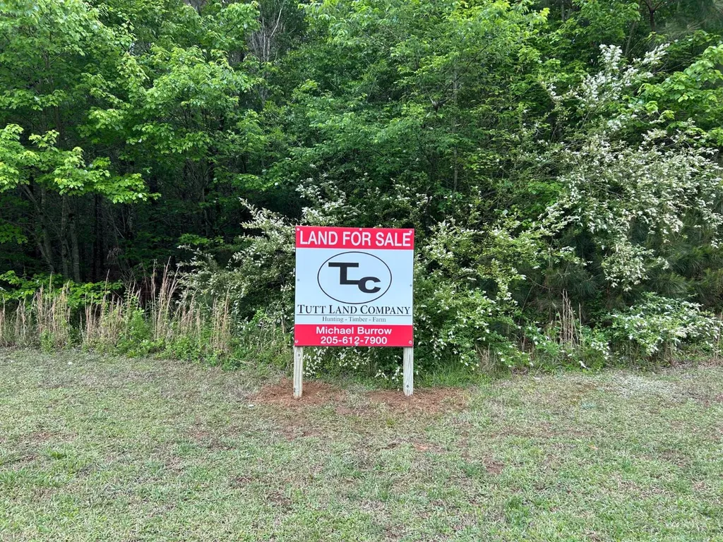 0 Robin Hill Road Oneonta AL 35121