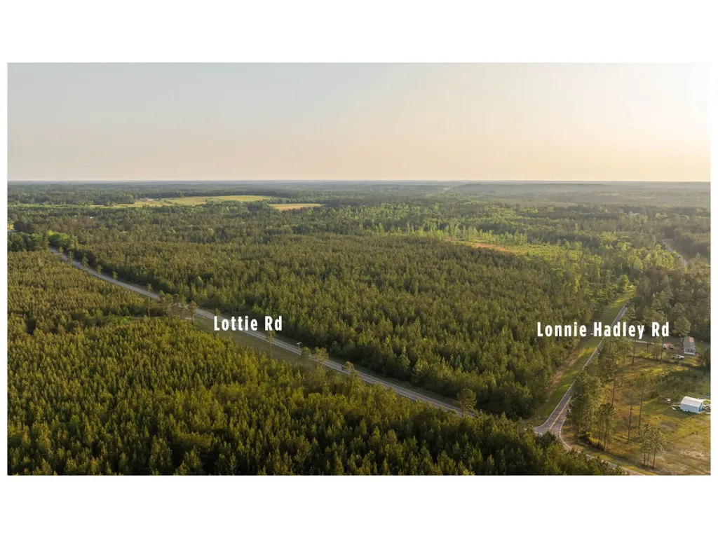 0 Lonnie Hadley Road Perdido AL 36562