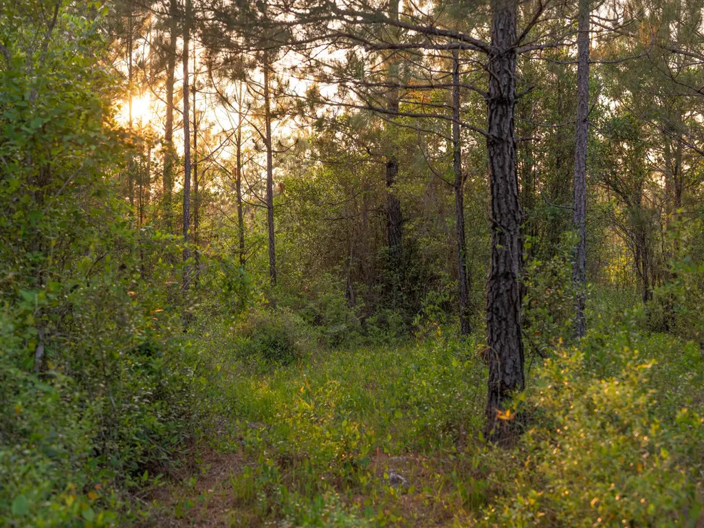 0 Lonnie Hadley Road Perdido AL 36562