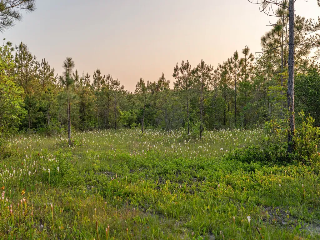 0 Lonnie Hadley Road Perdido AL 36562