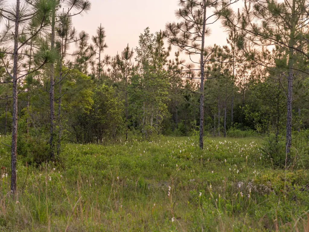 0 Lonnie Hadley Road Perdido AL 36562