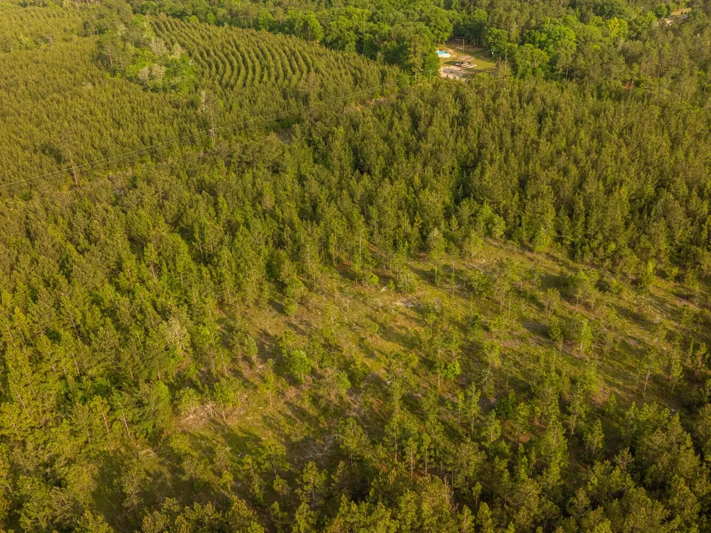 0 Lonnie Hadley Road Perdido AL 36562