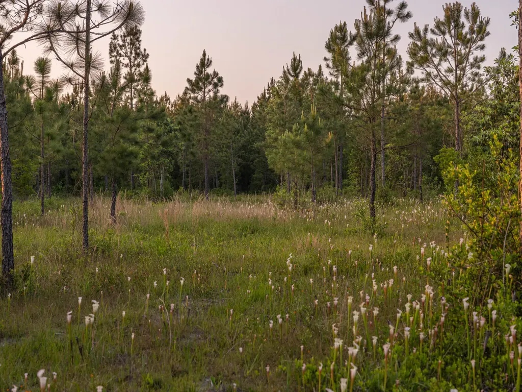 0 Lonnie Hadley Road Perdido AL 36562