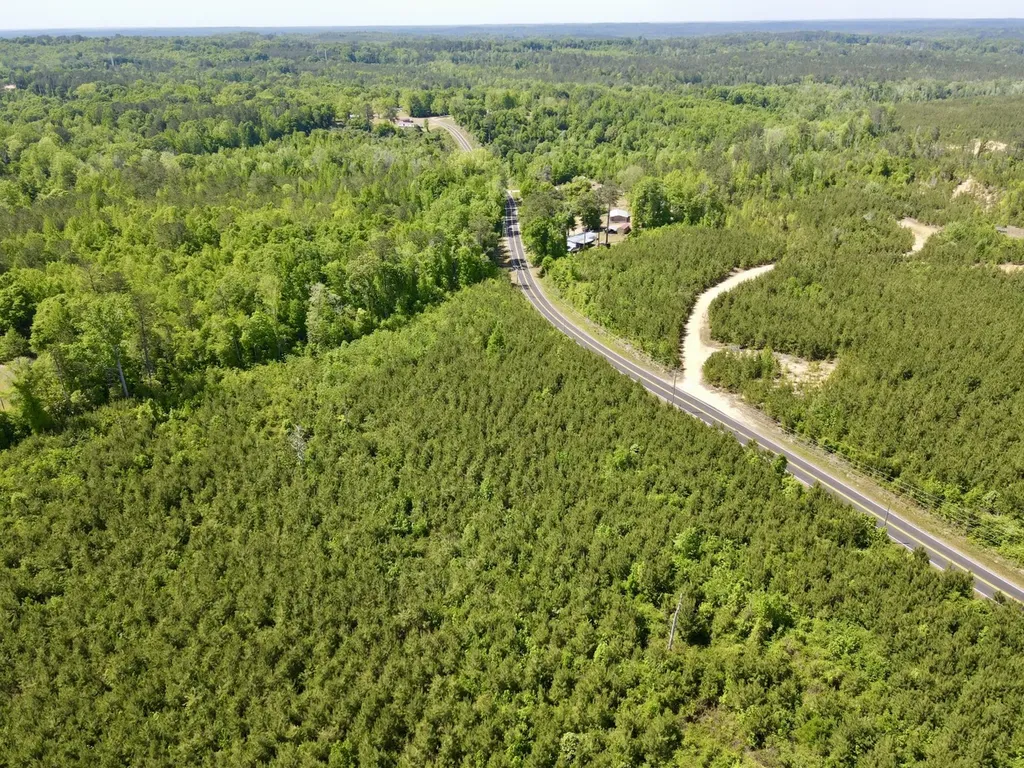 0 Toddtown Road, Tract 1 Jackson AL 36545