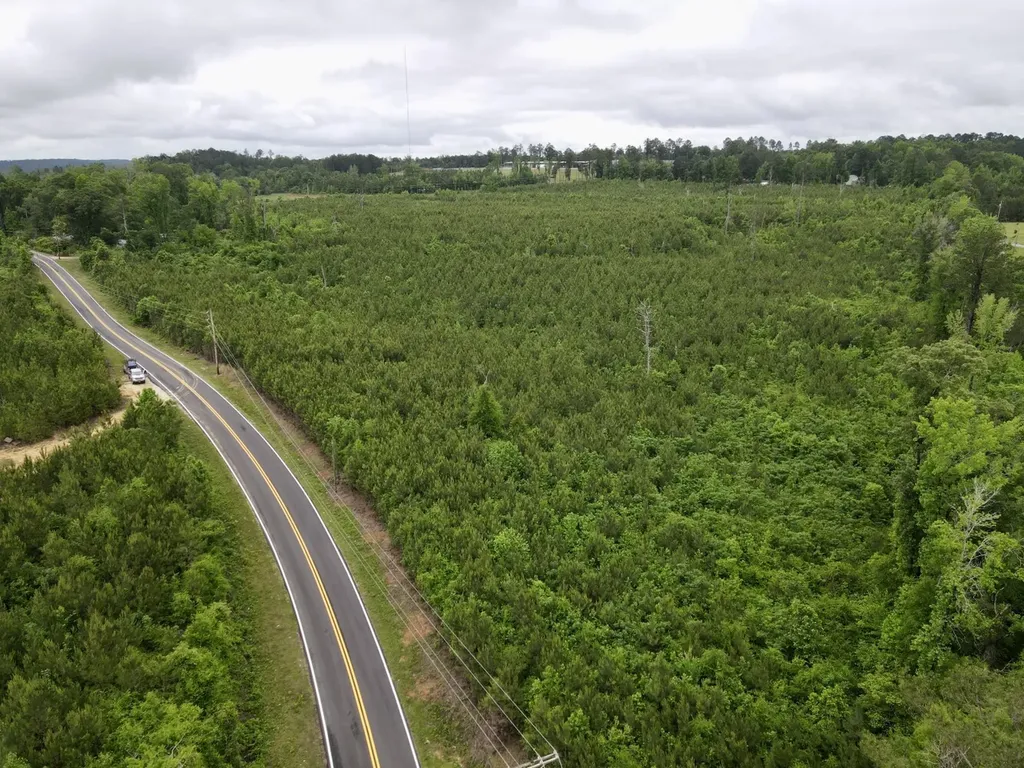 0 Toddtown Road, Tract 1 Jackson AL 36545