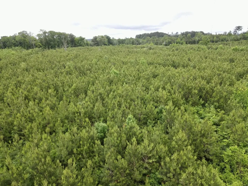 0 Toddtown Road, Tract 1 Jackson AL 36545