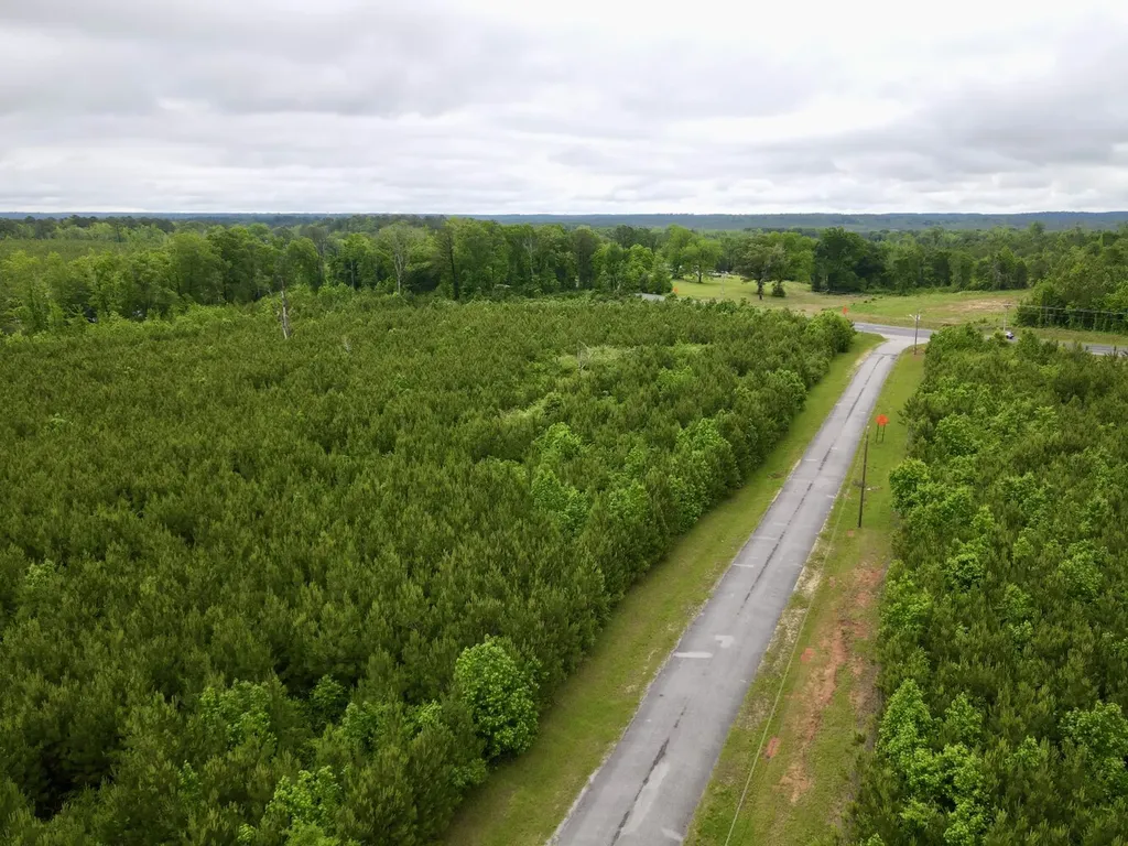 0 Echo Ridge Road, Tract 4 Jackson AL 36545