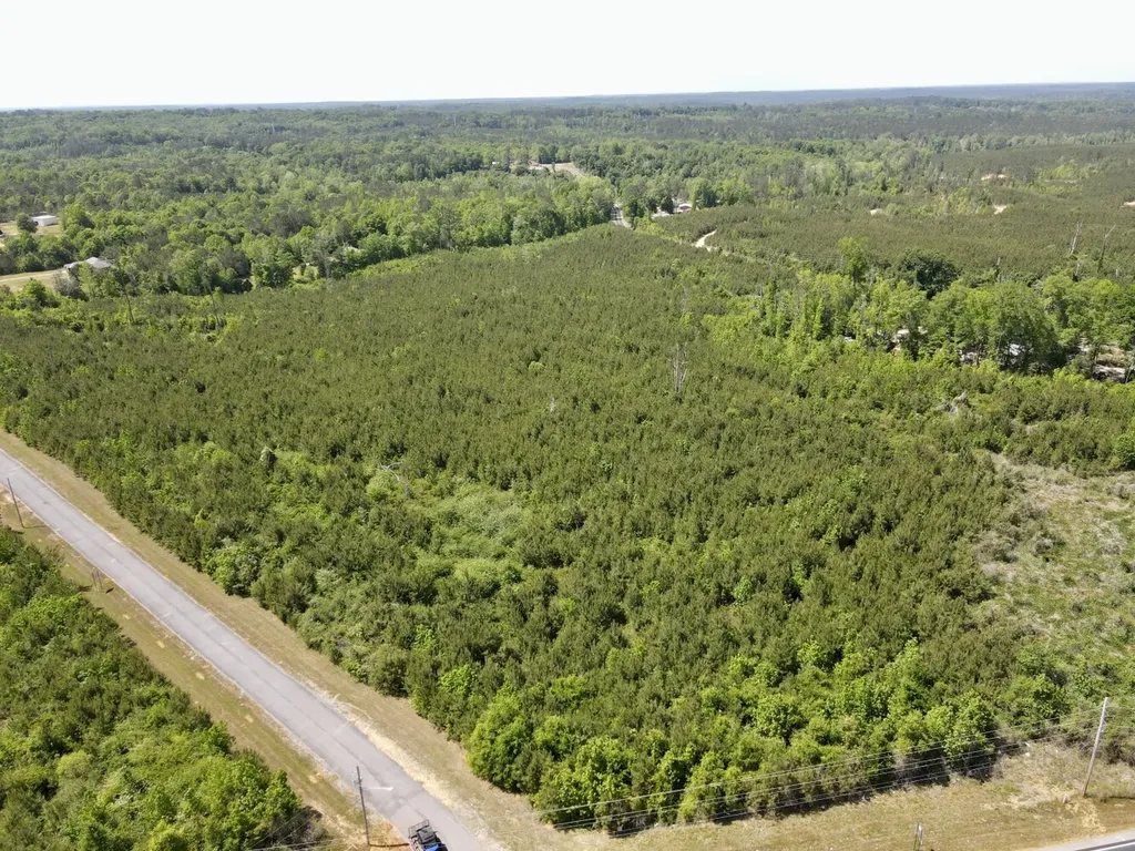 0 Echo Ridge Road, Tract 4 Jackson AL 36545