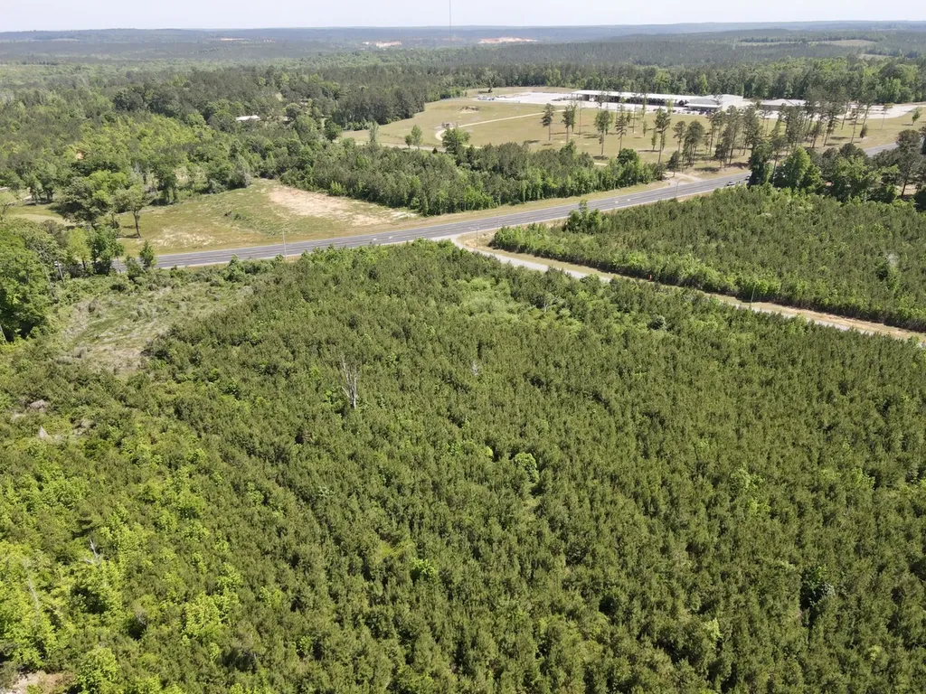 0 Echo Ridge Road, Tract 4 Jackson AL 36545