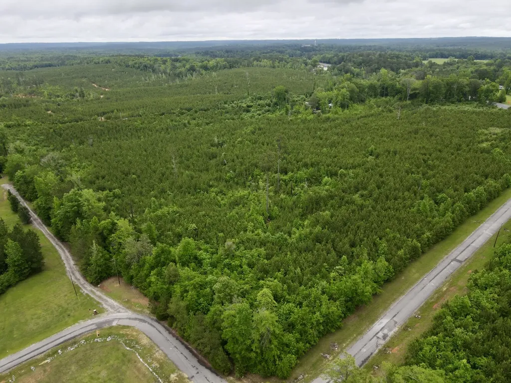 0 Echo Ridge Road, Tract 3 Jackson AL 36545