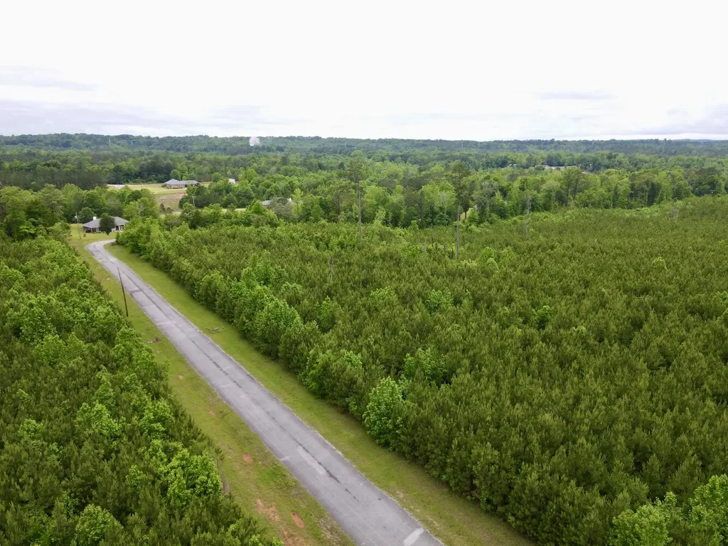 0 Echo Ridge Road, Tract 3 Jackson AL 36545