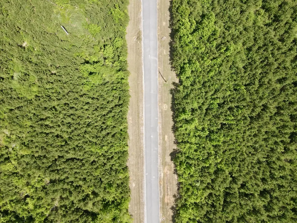 0 Echo Ridge Road, Tract 3 Jackson AL 36545
