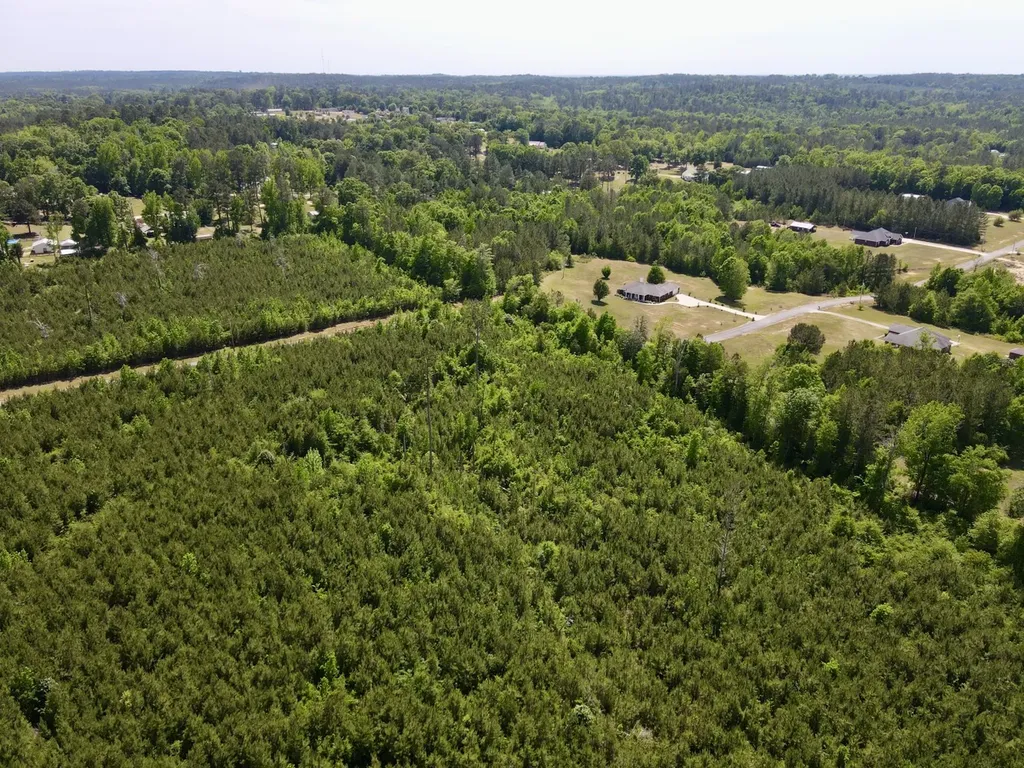 0 Echo Ridge Road, Tract 3 Jackson AL 36545