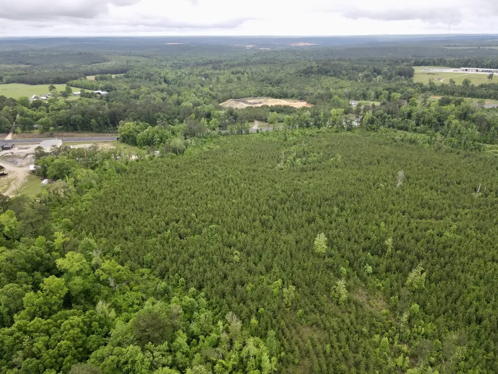 0 Highway 43 Jackson AL 36545