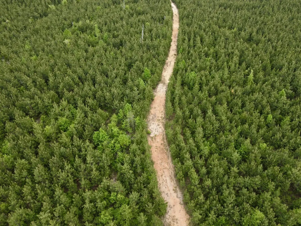 0 Toddtown Road Jackson AL 36545