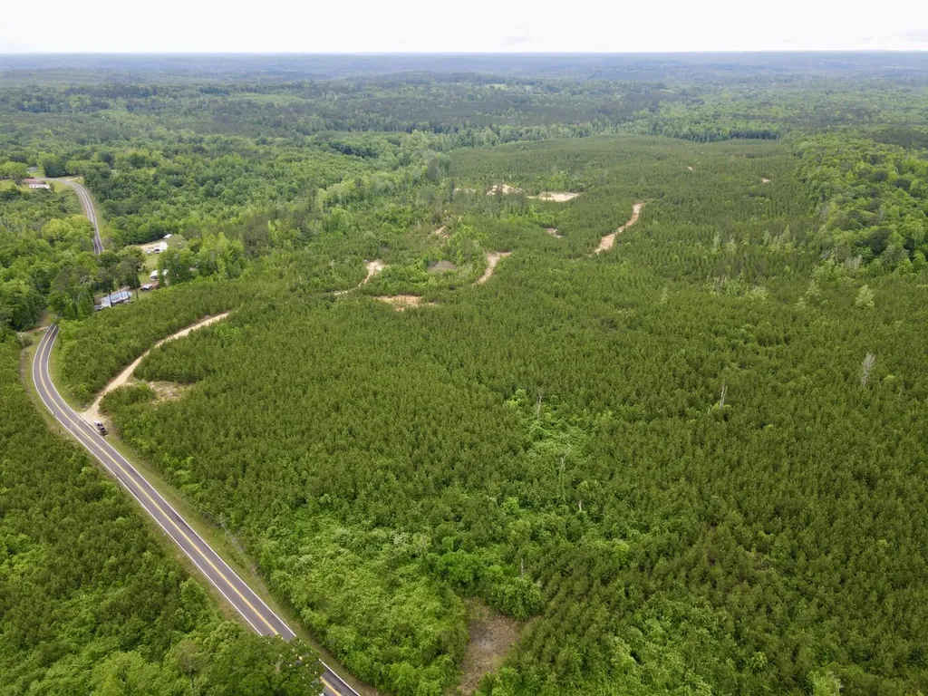 0 Toddtown Road Jackson AL 36545
