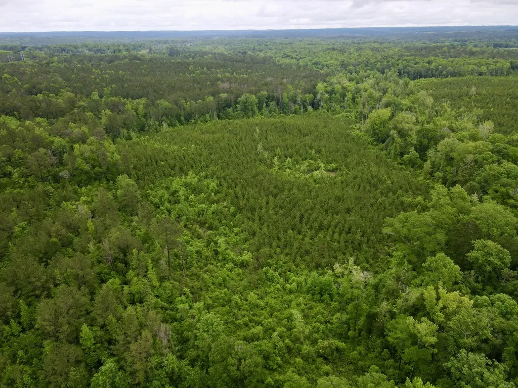 0 Toddtown Road Jackson AL 36545