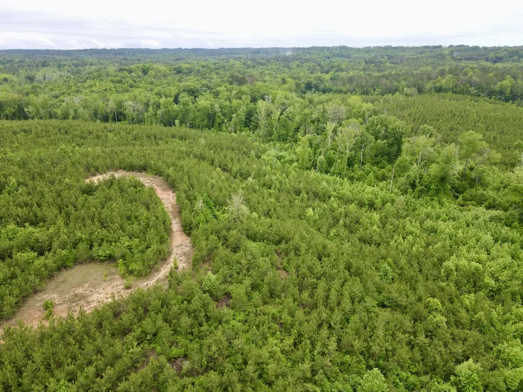 0 Toddtown Road Jackson AL 36545