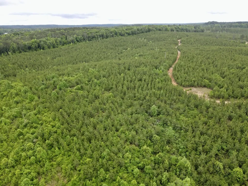 0 Toddtown Road Jackson AL 36545