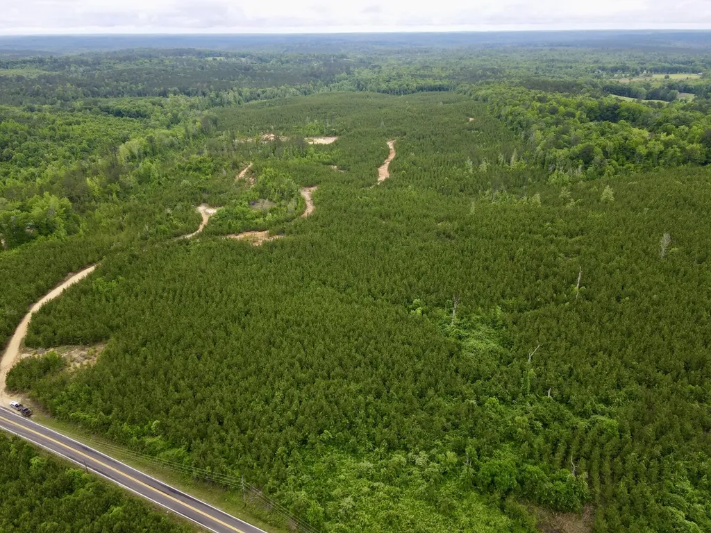 0 Toddtown Road Jackson AL 36545