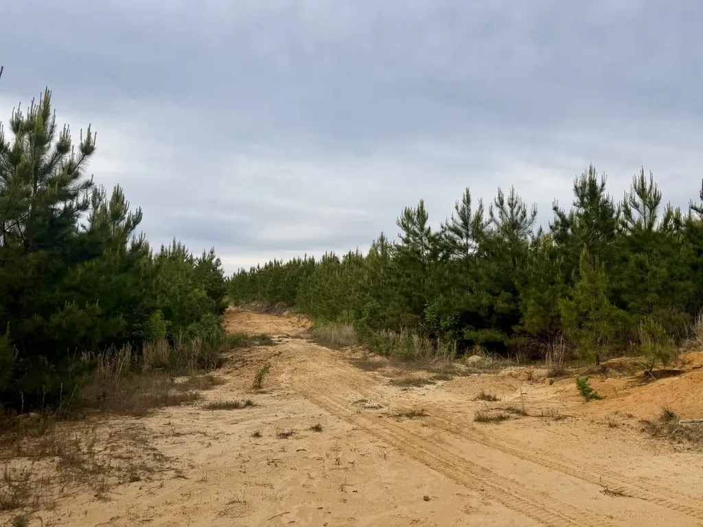 0 Toddtown Road Jackson AL 36545