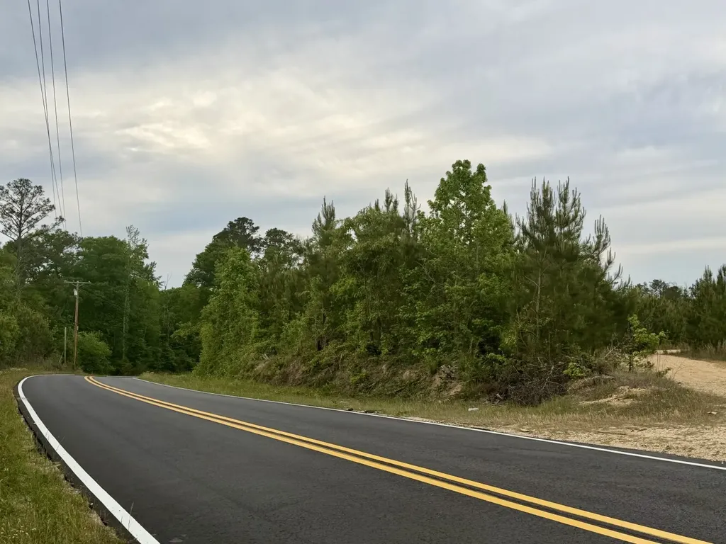 0 Toddtown Road Jackson AL 36545