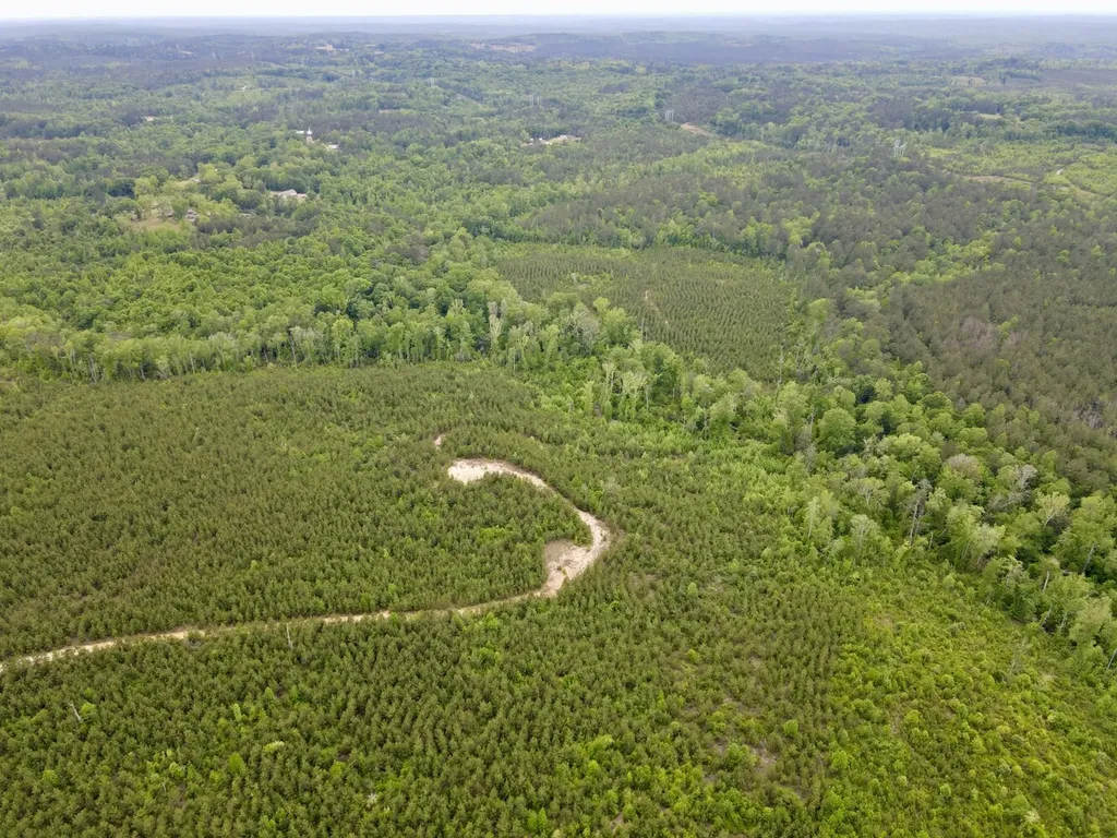 0 Toddtown Road Jackson AL 36545