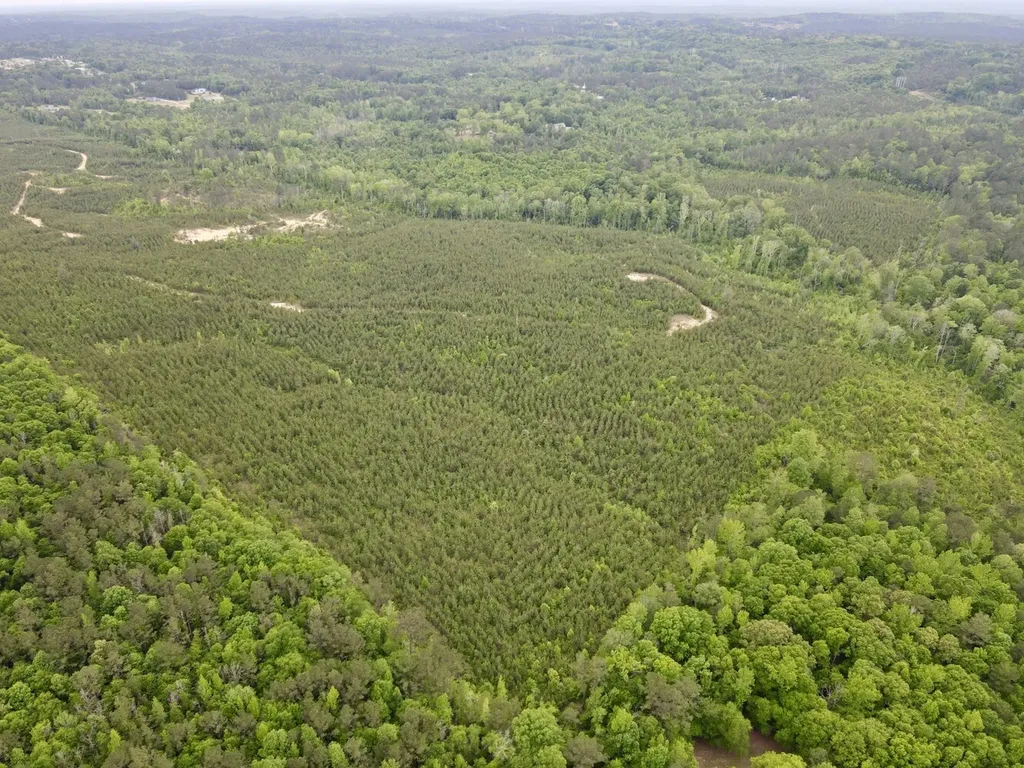 0 Toddtown Road Jackson AL 36545