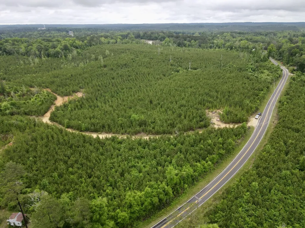 0 Toddtown Road Jackson AL 36545
