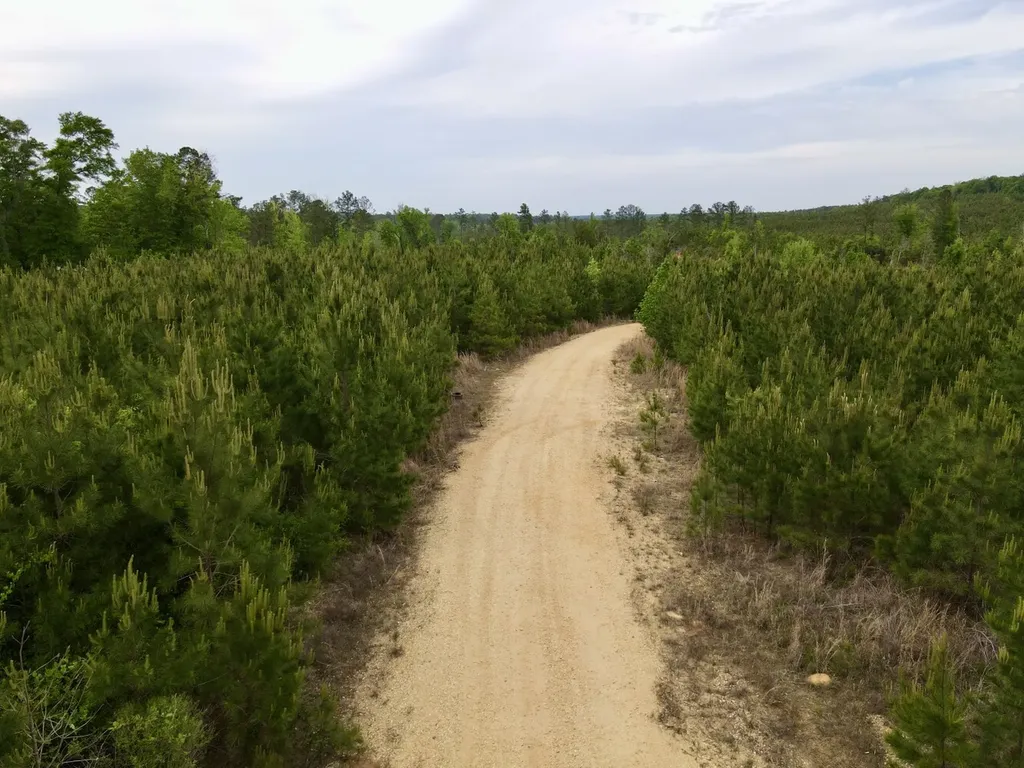 0 Toddtown Road Jackson AL 36545