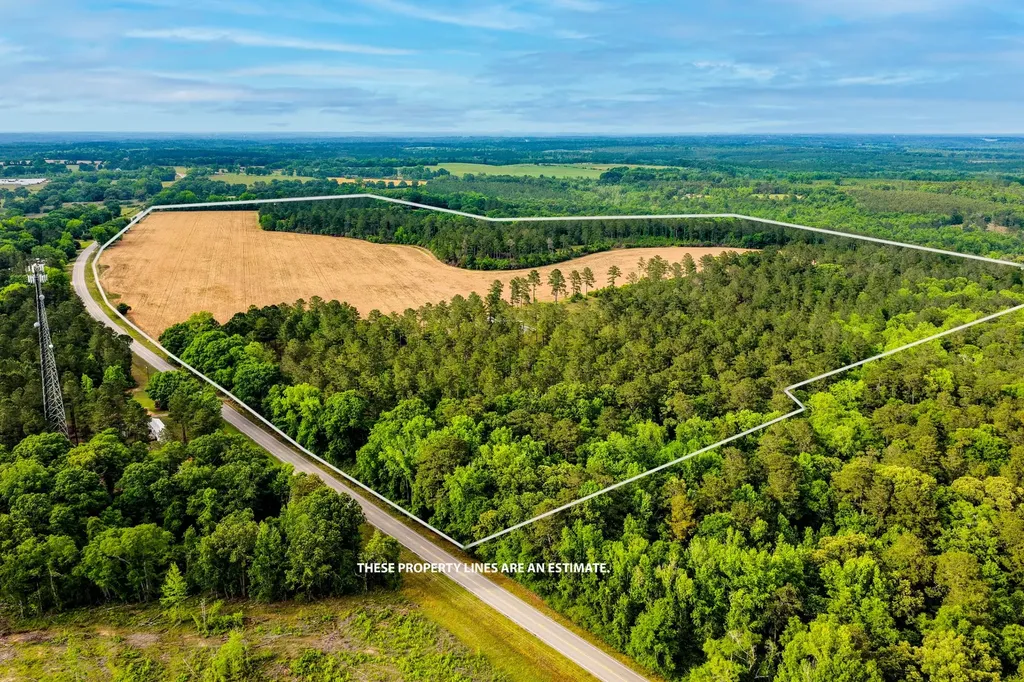 0 Highway 331 Dozier AL 36028