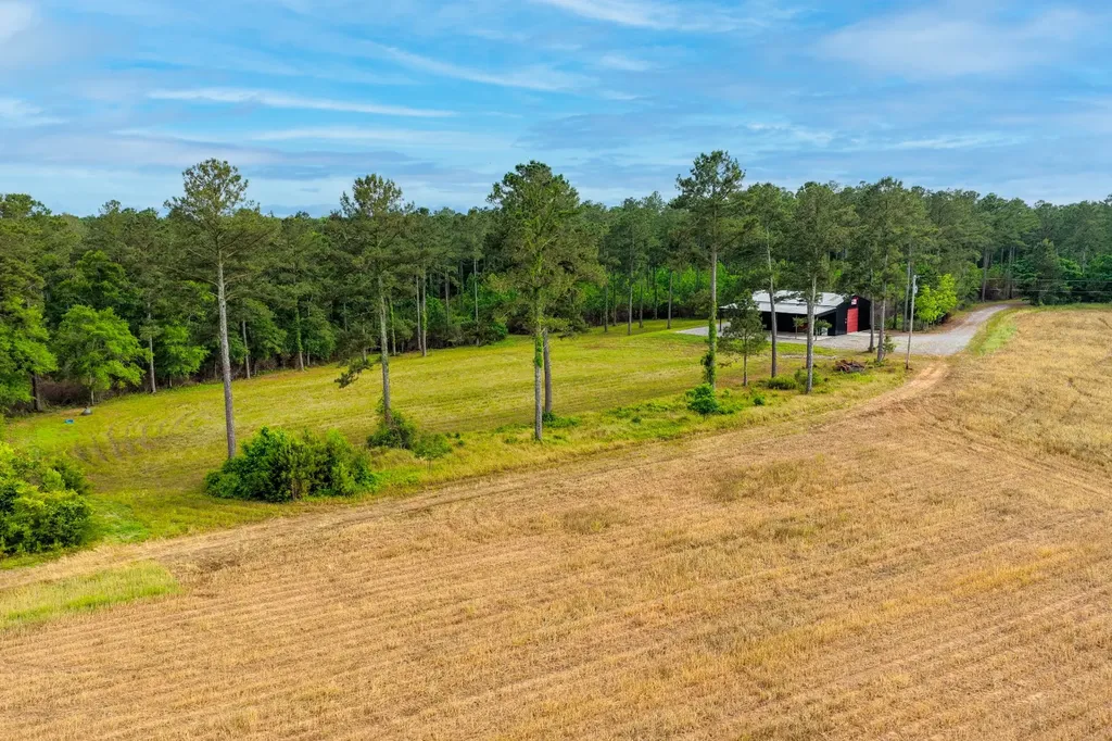 0 Highway 331 Dozier AL 36028