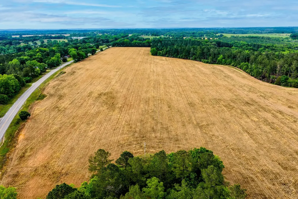 0 Highway 331 Dozier AL 36028